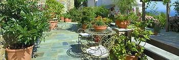 Hotel Iris & Pelion